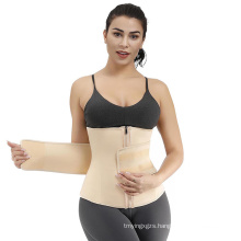 2020 Hot Sale Custom Logo Zipper Front Lose Weight Tummy Compression Belt Waist Trainer Women